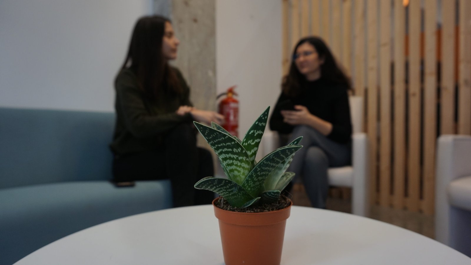 Contacta con Red Coworking Valencia